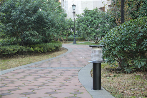 城市公園滅蚊使用太陽能滅蚊燈