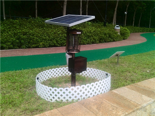 香港某公園太陽能滅蚊燈使用效果