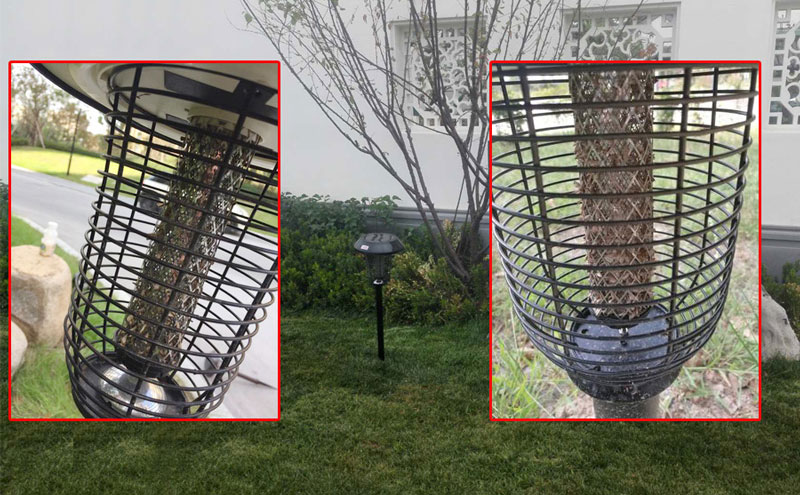 太陽能滅蚊燈安裝在小區草坪上的效果