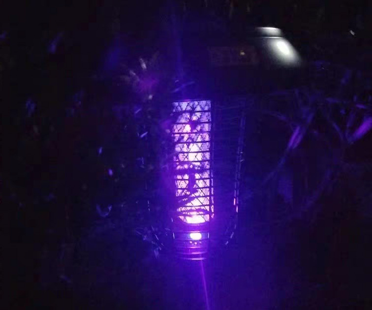 滅蚊燈效果，夜晚亮紫光的戶外滅蚊燈