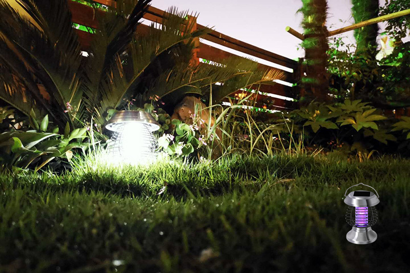 合肥大觀園景觀公司草坪景觀設計太陽能滅蚊燈實拍