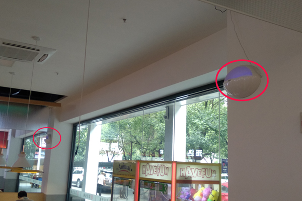 食堂餐廳滅蠅燈安裝示例